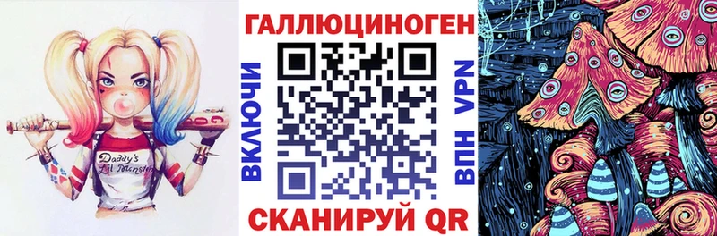 Галлюциногенные грибы мицелий  Ленинградская 